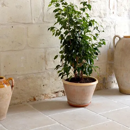 Palazzo Marzo אוטרנטו